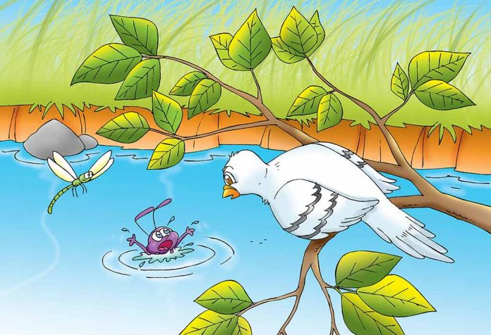 Pigeon And Ant Story With Moral For Kids