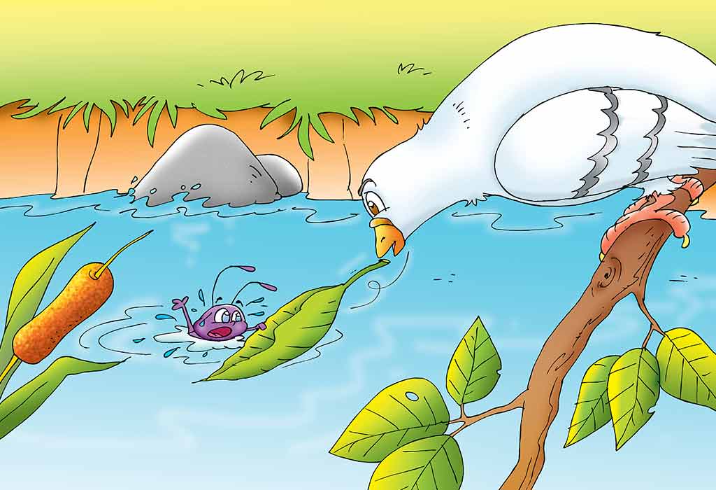 Pigeon And Ant Story For Children With Moral Pigeon And Ant Story For Children With Moral