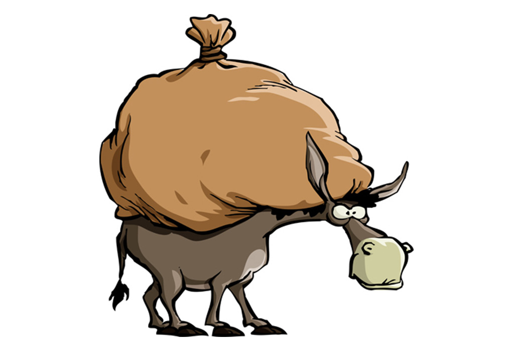 The Lazy Donkey Story