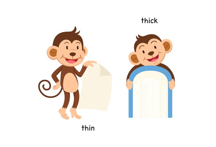 Teach Your Preschooler About Thick And Thin Concept