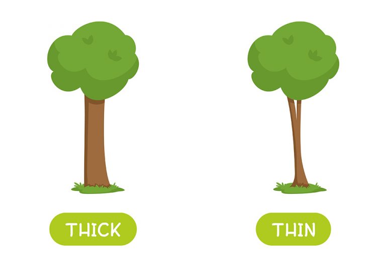 Teach Your Preschooler About Thick And Thin Concept