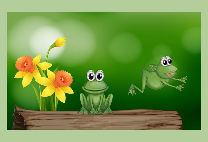 The Two Frogs Story