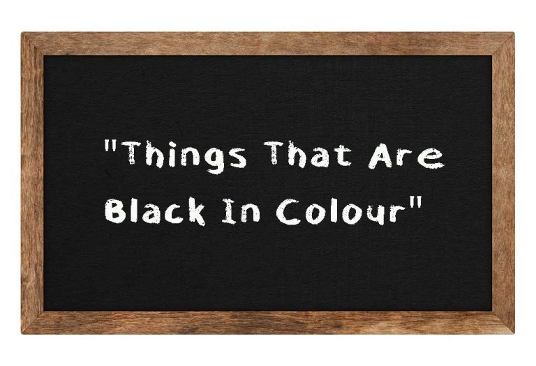 Things That Are Black In Colour For Kids