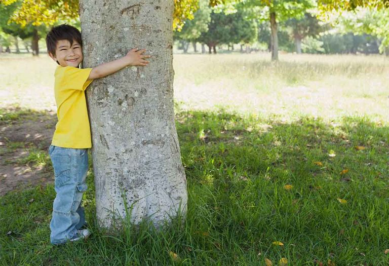 The Giving Tree Story For Kids
