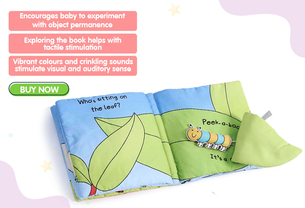 Peek-a-boo in the Park Plush Cloth Book