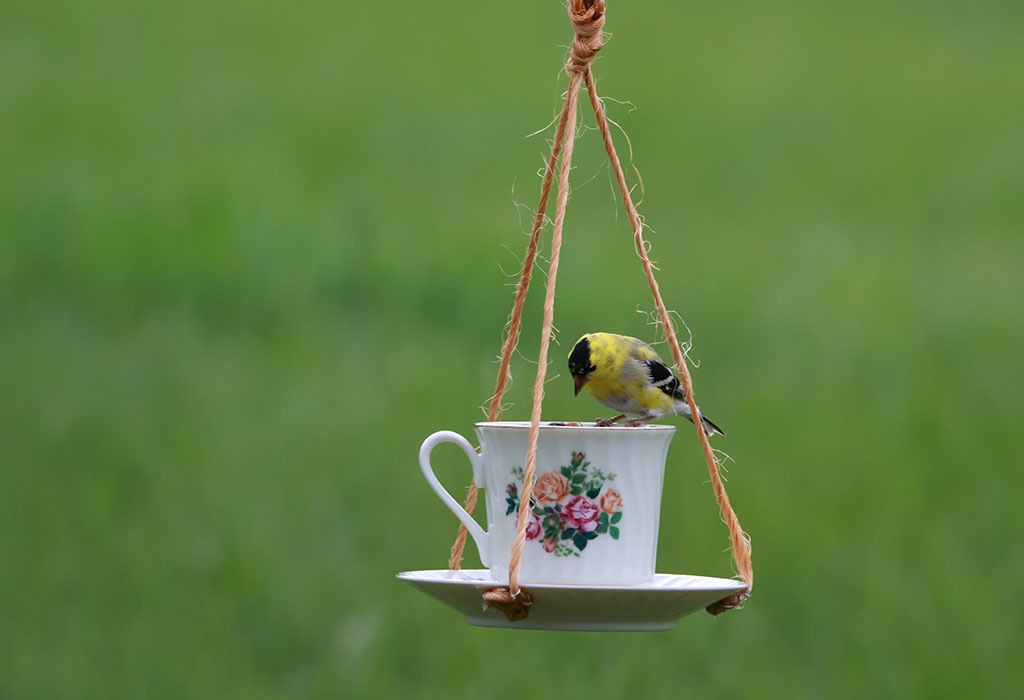 Teacup Bird Feeders