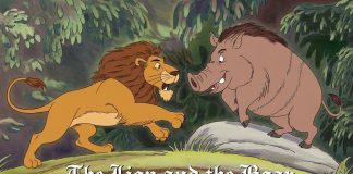 The Lion and the Boar Story