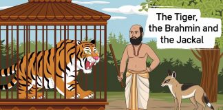 The Tiger, The Brahmin, And The Jackal Story
