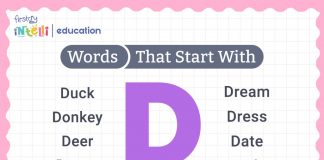 Words That Start With D