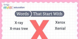 Words That Start With X