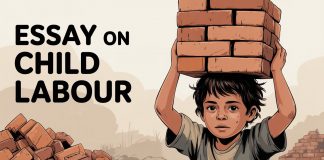 Essay on Child Labour