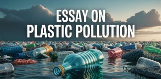 Essay on Plastic Pollution