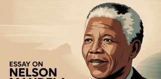 Essay on Nelson Mandela
