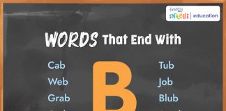 Words That End With B