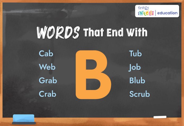Words That End With B