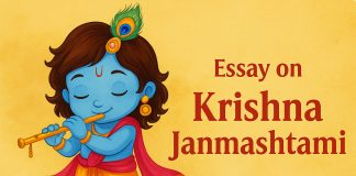 Essay on Krishna Janmashtmi