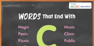 Words That End With C
