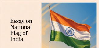 Essay on National Flag of India