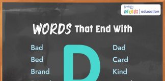 Words That End with D
