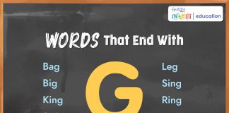 Words That End with G