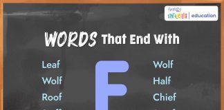 Words That End with F