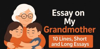 Essay on My Grandmother - 10 Lines, Short and Long Essays