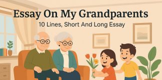 Essay on My Grandparents - 10 Lines,Short and Long Essay