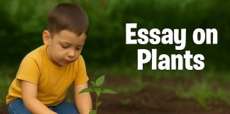Essay On Plants For Children And Students