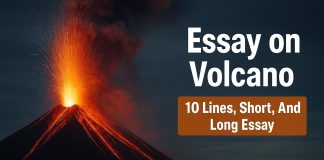 Essay on Volcano - 10 Lines, Short, And Long Essay