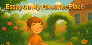 Essay On My Favourite Place 10 Lines, Short, And Long Essay