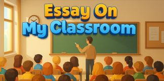 Essay on My Classroom