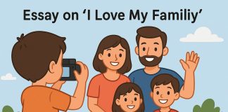Essay on I Love My Family