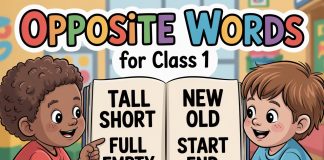 Opposite Words for class 1 kids