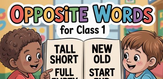 Opposite Words for class 1 kids