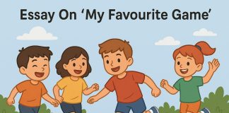 Essay on My Favourite Game
