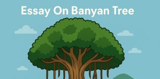 Essay on Banyan Tree