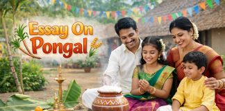 Essay On Pongal - 10 Lines, Short And Long Essay