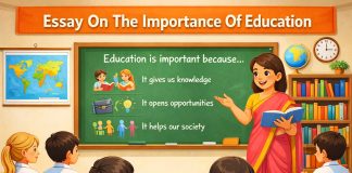Essay On The Importance Of Education - 10 Lines, 150, 300, & 500 Words
