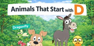 Animals That Start With D