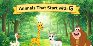 Animal Names That Start With G - List with Pictures