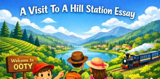 A Visit To A Hill Station Essay - 10 Lines, Short, And Long Essay