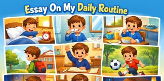 Essay On Daily Routine for Students and Children