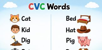 CVC Words - Importance, List and Tips for Kids
