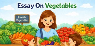Essay On Vegetables - 10 Lines, Short, And Long Essay