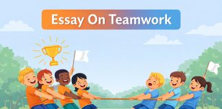 Essay On Teamwork - 10 Lines, Short & Long Essay