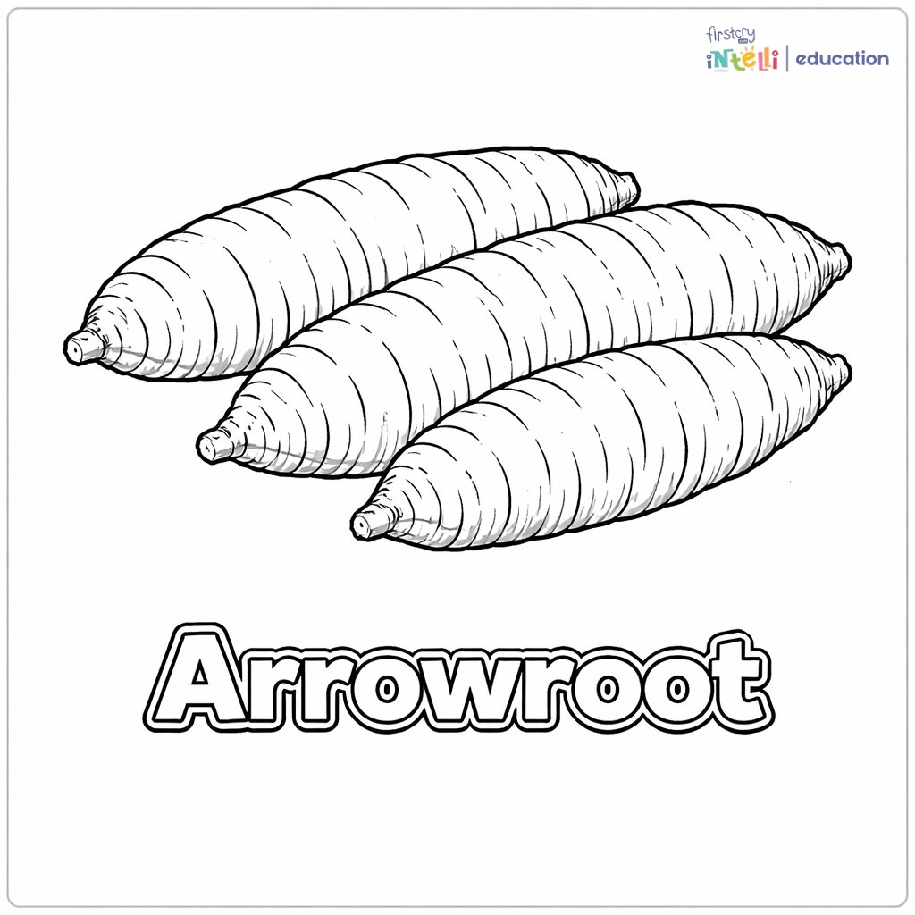 Arrowroot Coloring Page
