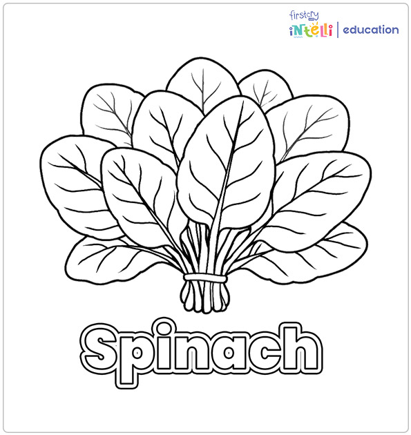 Spinach Coloring Page