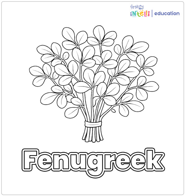 Fennugreek Coloring Page