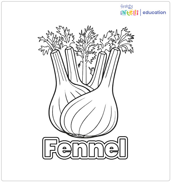 Fennel Coloring Page