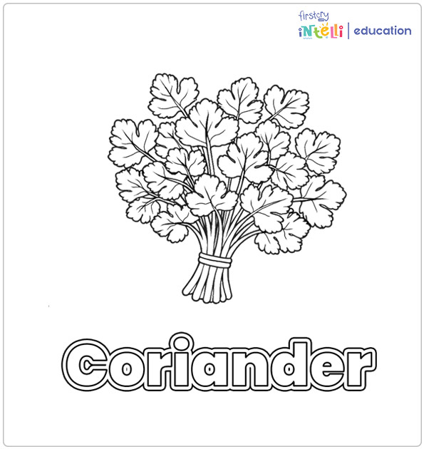 Coriander Coloring Page